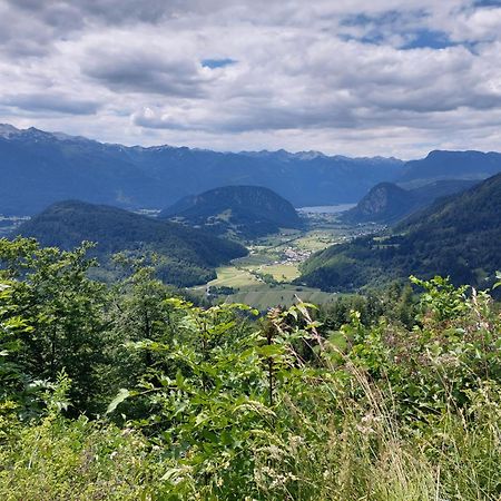 Apartmaji Vesna Bohinj Eksteriør billede