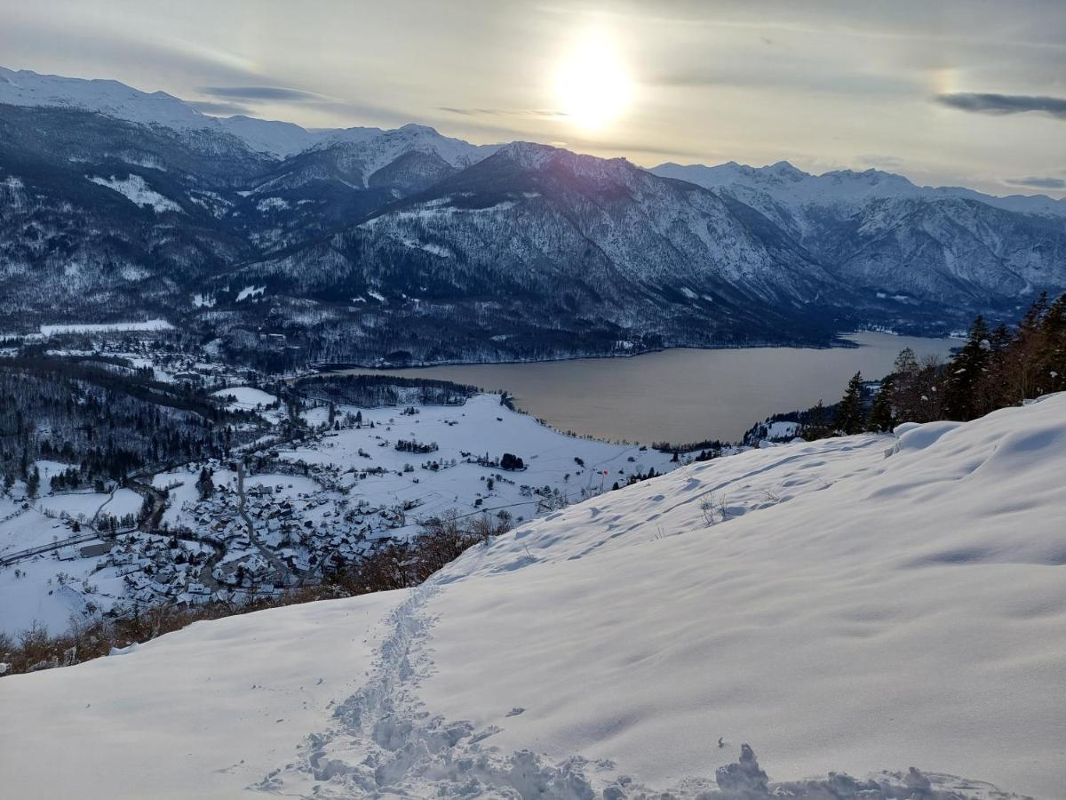 Apartmaji Vesna Bohinj Eksteriør billede