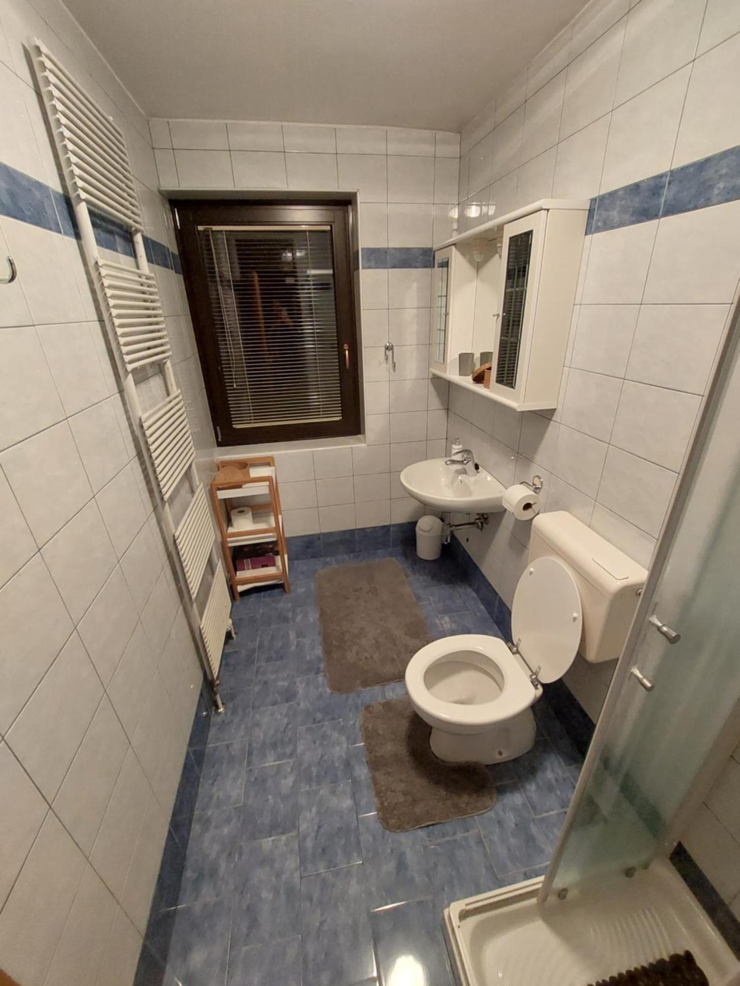 Apartmaji Vesna Bohinj Værelse billede